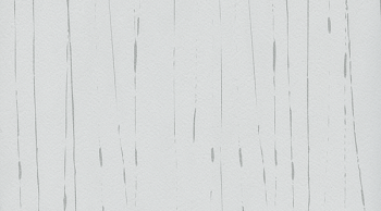 Линолеум Настенное покрытие Mural Calypso 7001 Haze Pearl фото 1 | FLOORDEALER